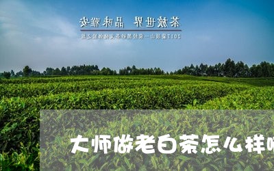 大师做老白茶怎么样啊/2023092880614