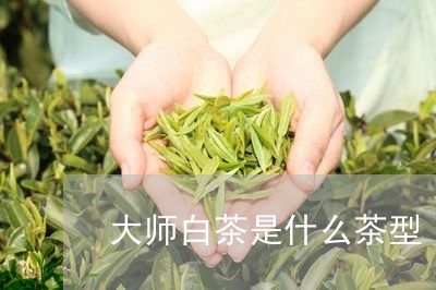 大师白茶是什么茶型/2023121874837