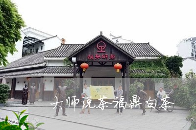 大师说茶福鼎白茶/2023082612916