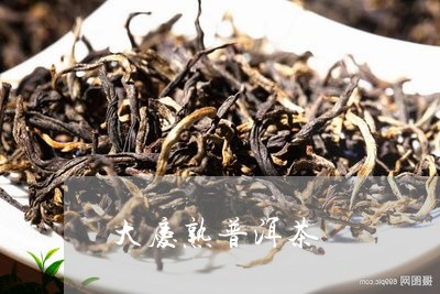 大庆熟普洱茶/2023042632157