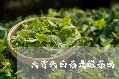 大弯头白茶是绿茶吗/2023071637282