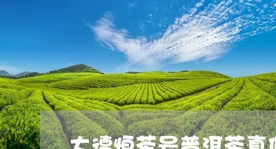 大德恒茶号普洱茶真假/2023080319372