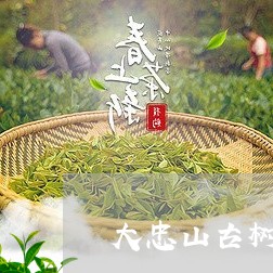 大忠山古树普洱茶特点介绍/2023110208159