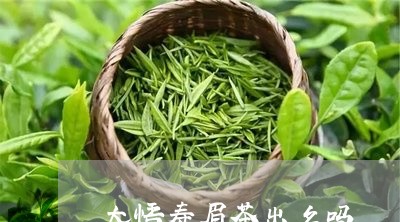 大悟寿眉茶出名吗/2023061651593