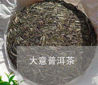 大意普洱茶/2023090573828