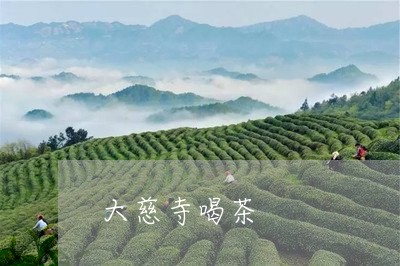 大慈寺喝茶/2023090215926