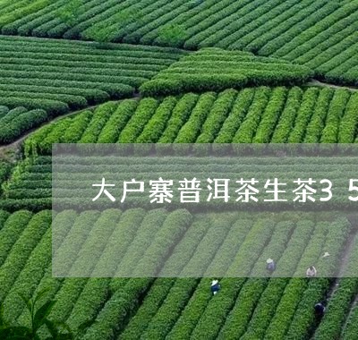 大户寨普洱茶生茶357g/2023110170704