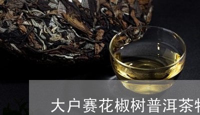 大户赛花椒树普洱茶特点/2023112550692