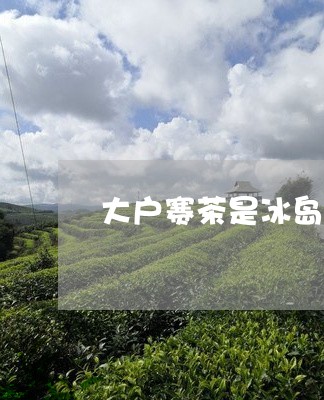 大户赛茶是冰岛茶吗/2023042616260