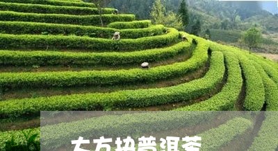 大方块普洱茶/2023042793808