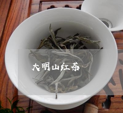 大明山红茶/2023110963837