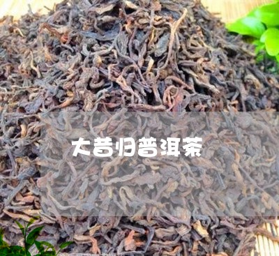 大昔归普洱茶/2023042924779