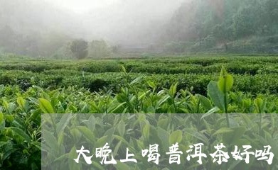 大晚上喝普洱茶好吗女士/2023121592625