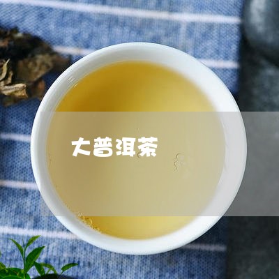 大普洱茶/2023110813947