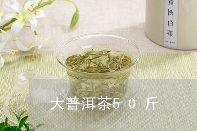 大普洱茶50斤/2023121552603