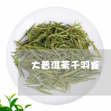 大普洱茶千羽雀/2023080205737