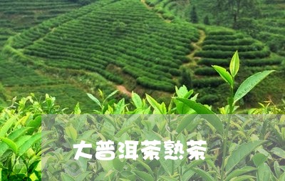 大普洱茶熟茶/2023042873078