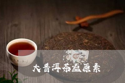 大普洱茶益原素/2023120325936