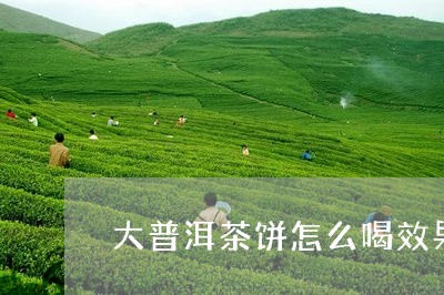 大普洱茶饼怎么喝效果好/2023082404046