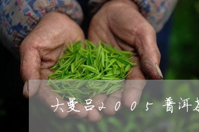 大曼吕2005普洱茶/2023100614814