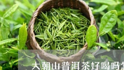 大朝山普洱茶好喝吗怎么样/2023121524938