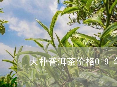 大朴普洱茶价格09年/2023092954946