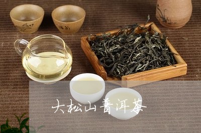 大松山普洱茶/2023042658842