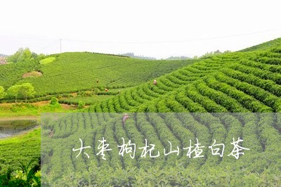 大枣枸杞山楂白茶/2023061643857