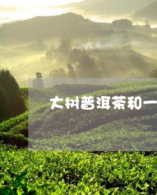 大树普洱茶和一般普洱/2023080377158