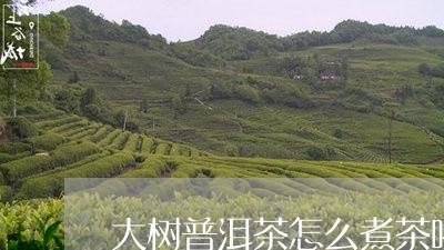 大树普洱茶怎么煮茶喝的/2023110122703