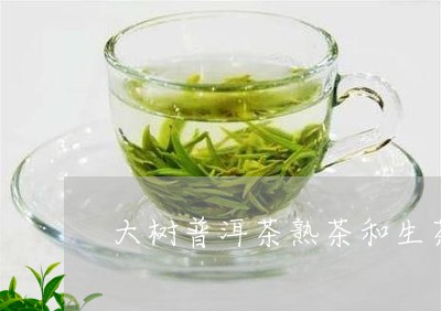 大树普洱茶熟茶和生茶/2023062875839