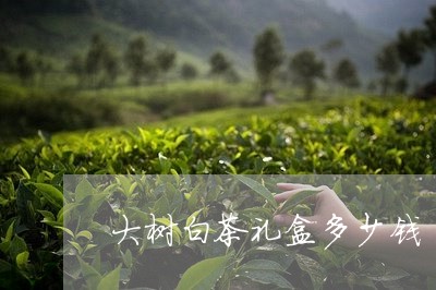 大树白茶礼盒多少钱/2023071669593