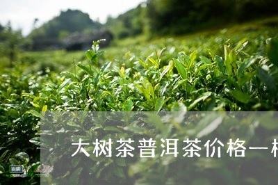 大树茶普洱茶价格一样吗/2023081771384