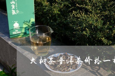 大树茶普洱茶价格一样吗/2023102436251