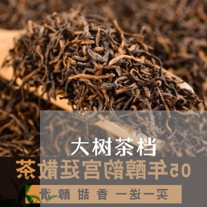 大树茶档/2023121959380