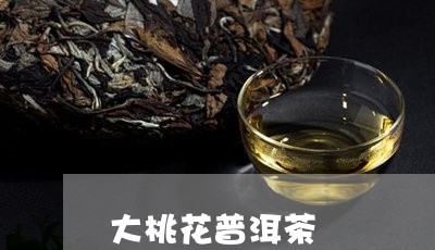 大桃花普洱茶/2023042623288