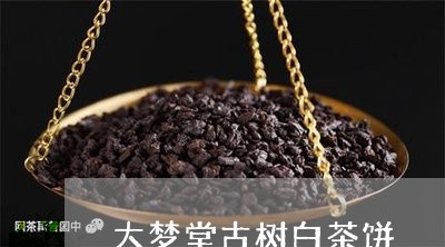 大梦堂古树白茶饼/2023061606979