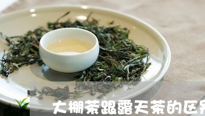 大棚茶跟露天茶的区别/2023060923930