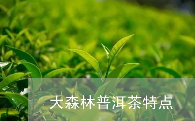 大森林普洱茶特点/2023102698383