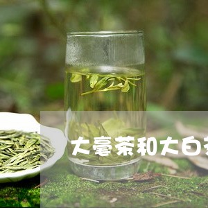 大毫茶和大白茶价格/2023071661726