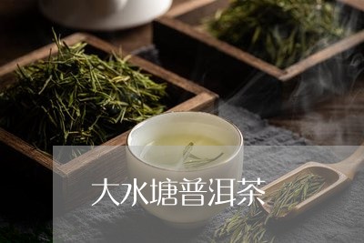 大水塘普洱茶/2023042639695