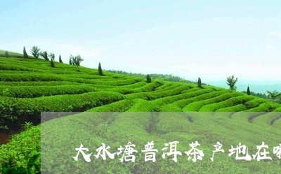 大水塘普洱茶产地在哪里/2023102516253