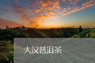 大汉普洱茶/2023090509471