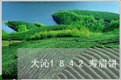 大沁1842寿眉饼/2023091388069