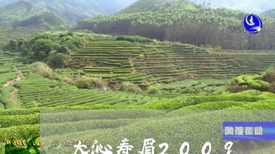 大沁寿眉2009/2023090879482