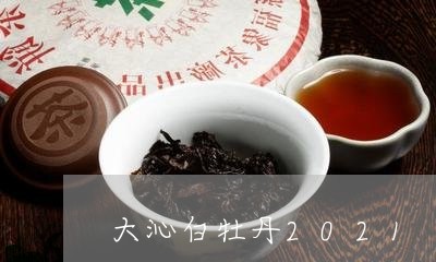 大沁白牡丹2021/2023120559470