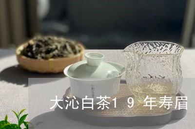 大沁白茶19年寿眉/2023082504959