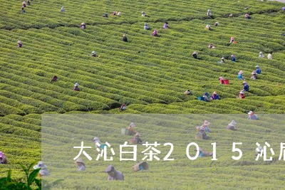 大沁白茶2015沁眉/2023092766359