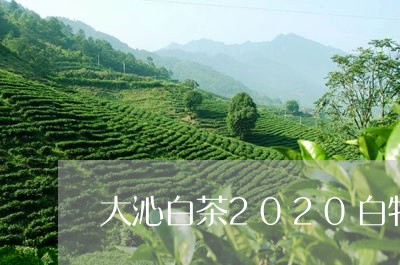 大沁白茶2020白牡丹/2023092314836