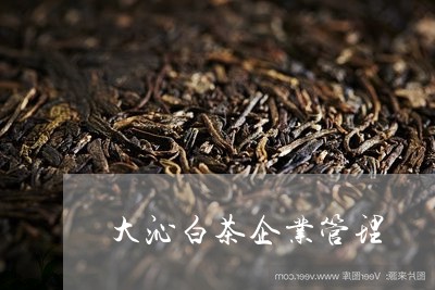 大沁白茶企业管理/2023061667395